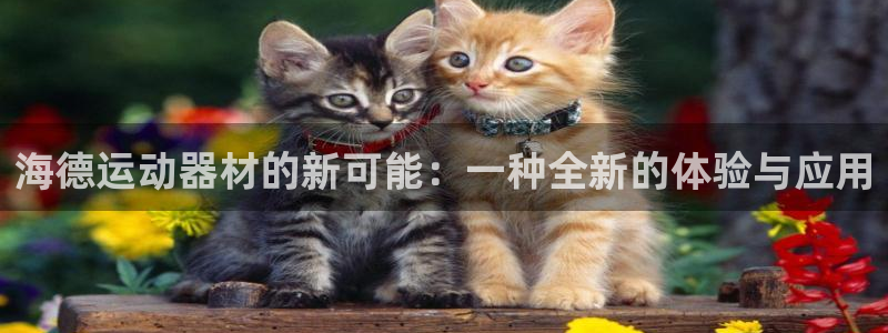征途国际开户