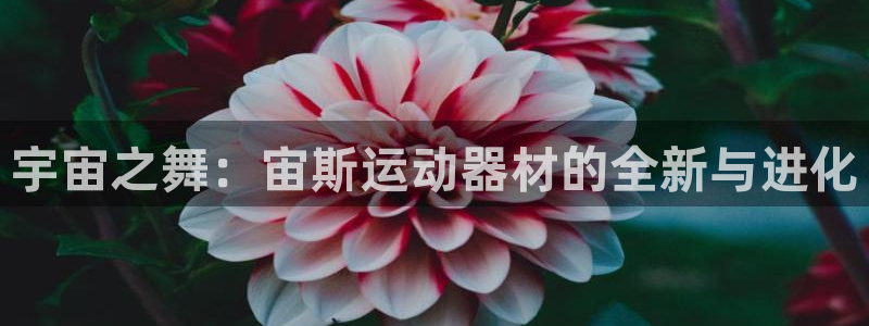 征途国际官方客服电话