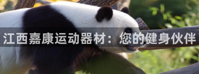 征途国际官方客服电话：江西嘉康运动器材：您的健身伙伴