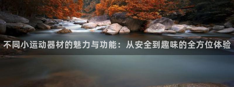 征途国际集团官网首页：不同小运动器材的魅力与功能：从