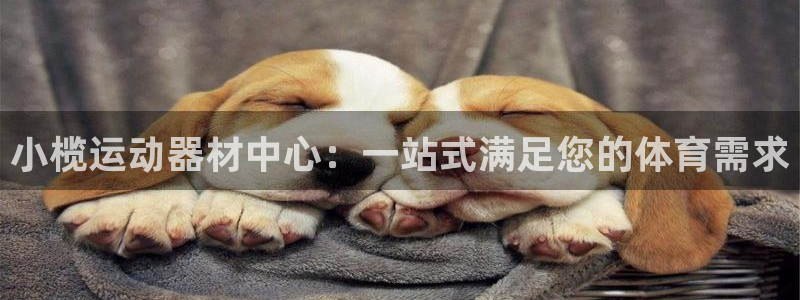 征途国际开户：小榄运动器材中心：一站式满足您的体育需求