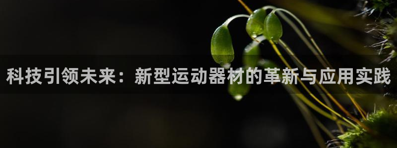 征途国际是干嘛的公司：科技引领未来：新型运动器材的革新与应用