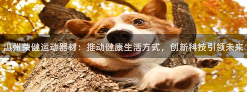 征途国际集团：惠州荣健运动器材：推动健康生活方式，创新科技引