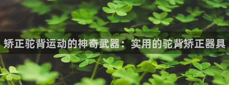 征途国际神州