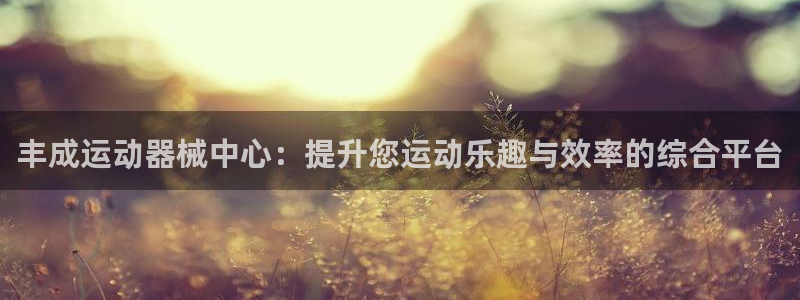征途国际平台：丰成运动器械中心：提升您运动乐趣与效率的综合平
