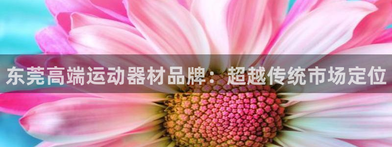 征途国际平台注册流程视频：东莞高端运动器材品牌：超越