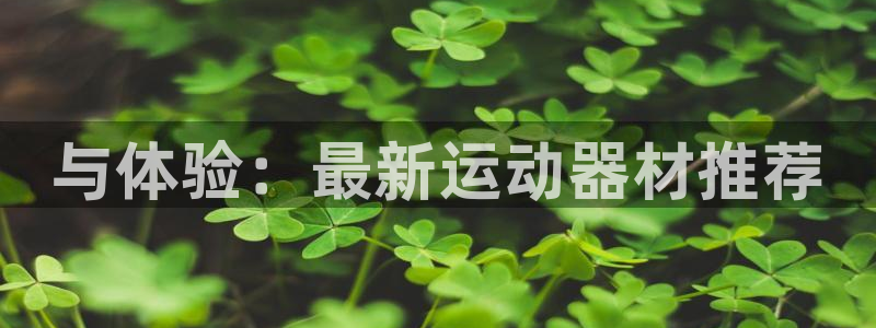 征途国际平台注册要钱吗：与体验：最新运动器材推荐