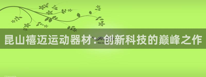 征途国际招商：昆山禧迈运动器材：创新科技的巅峰之作