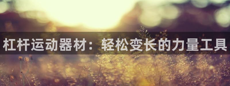 征途国际娱乐平台：杠杆运动器材：轻松变长的力量工具