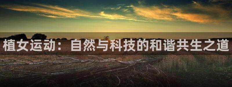 征途国际招商电话号码查询