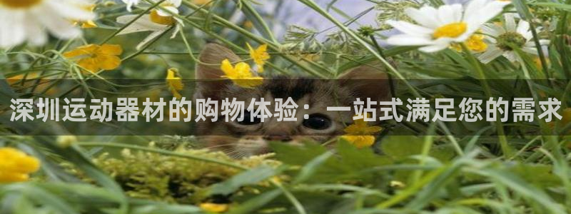 征途国际平台注册流程图：深圳运动器材的购物体验：一站式满足您