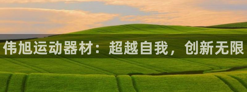 征途国际集团官网：伟旭运动器材：超越自我，创新无限